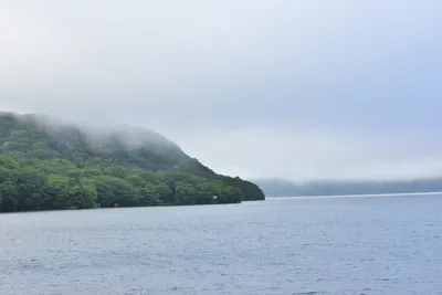 DSC_3732 (Large).JPG